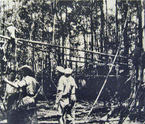 Construction d’un carbet à Montsinéry (1966). (c) 40 ans de service militaire adapté en Guyane (1961-2001), Panazol, Editions Lavauzelle, 2002